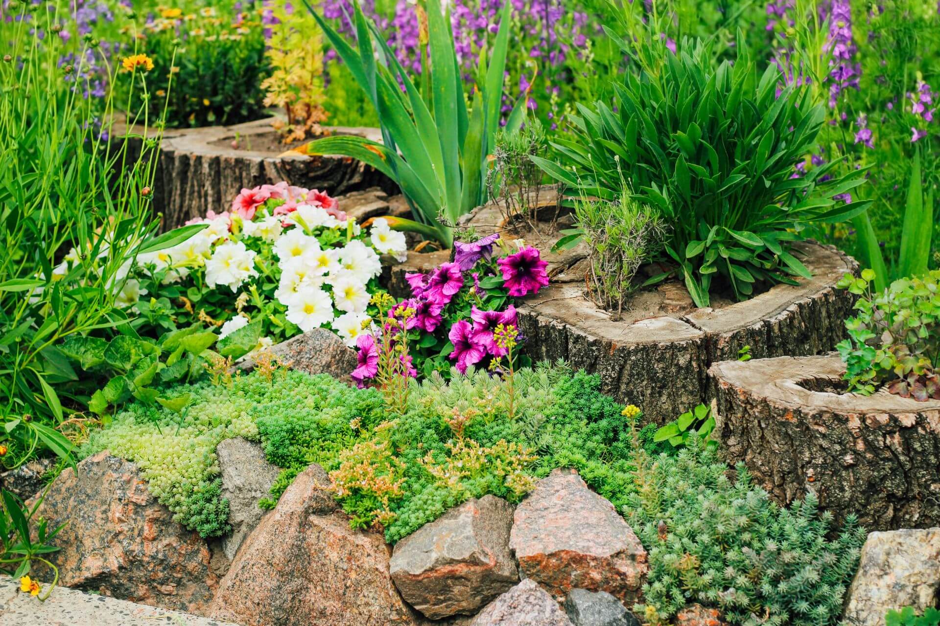 rockery garden