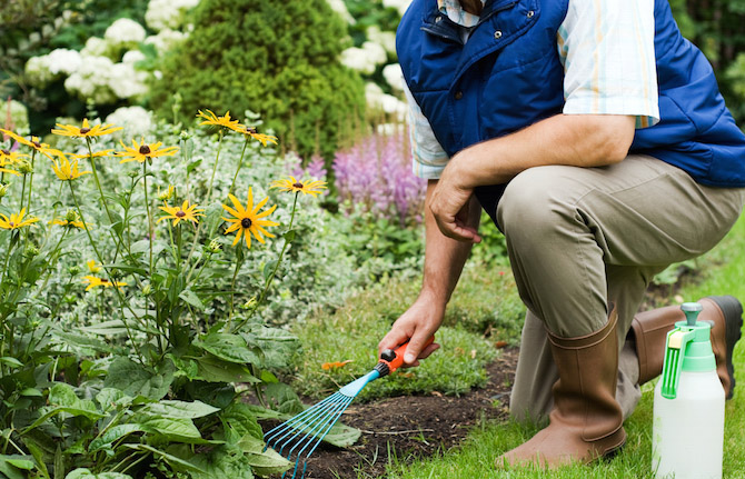 How to Improve Your Garden.