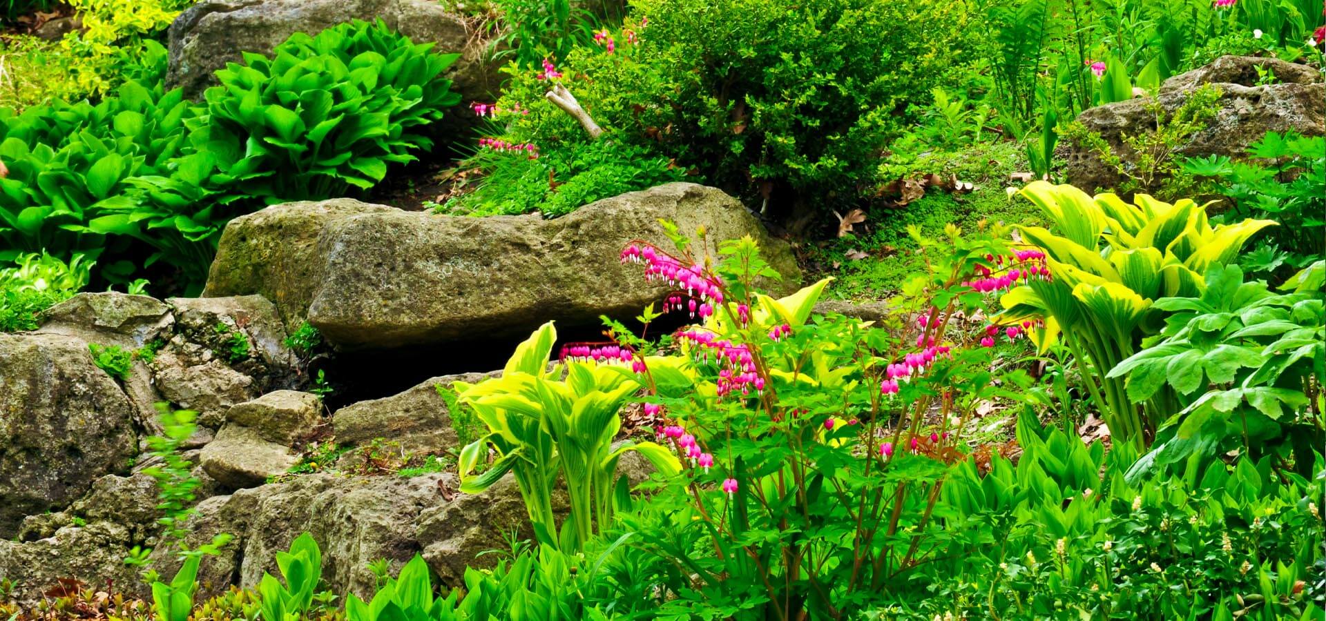 Inspiration for a classic English rockery