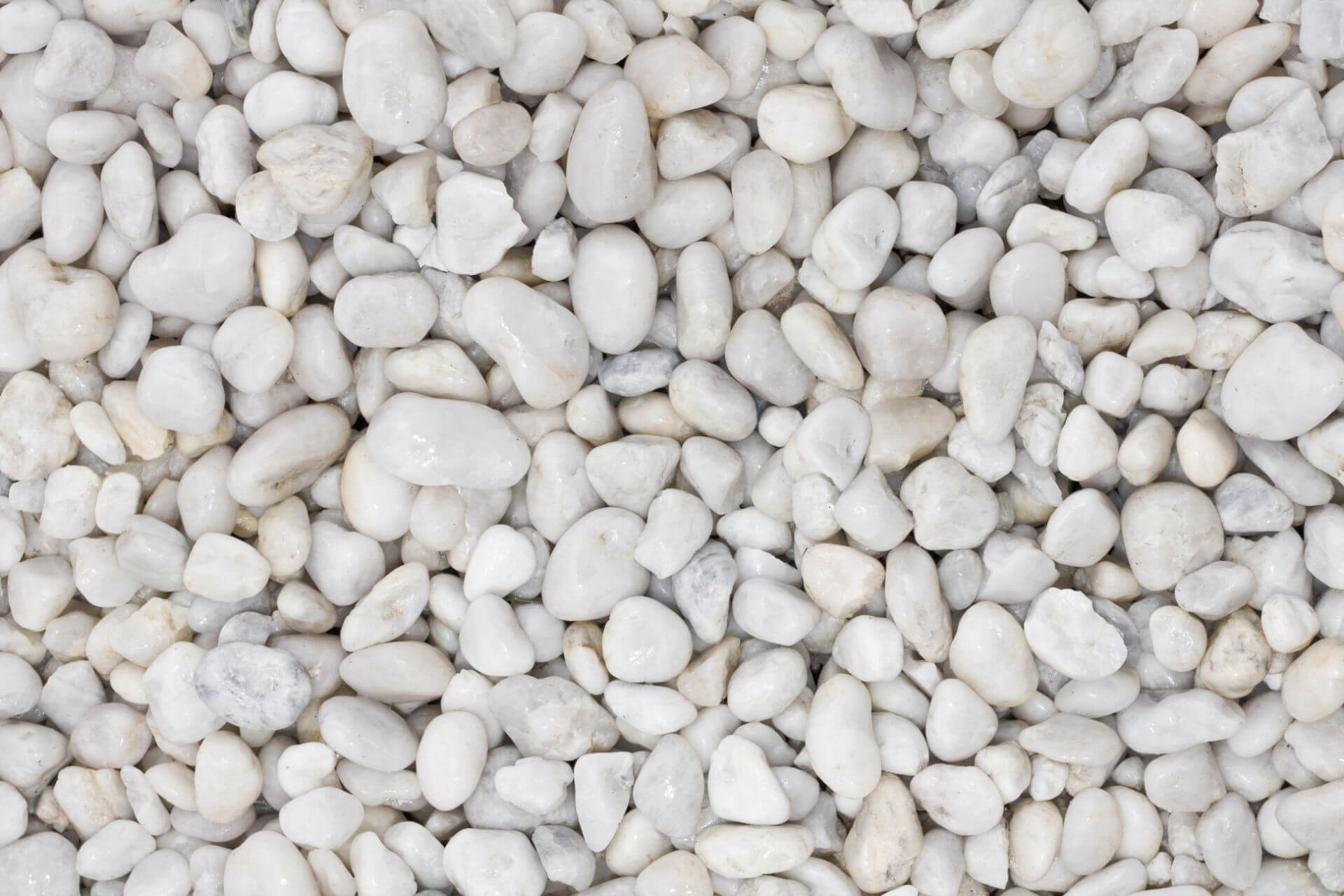 Scottish pebbles vs English pebbles: What’s the difference?