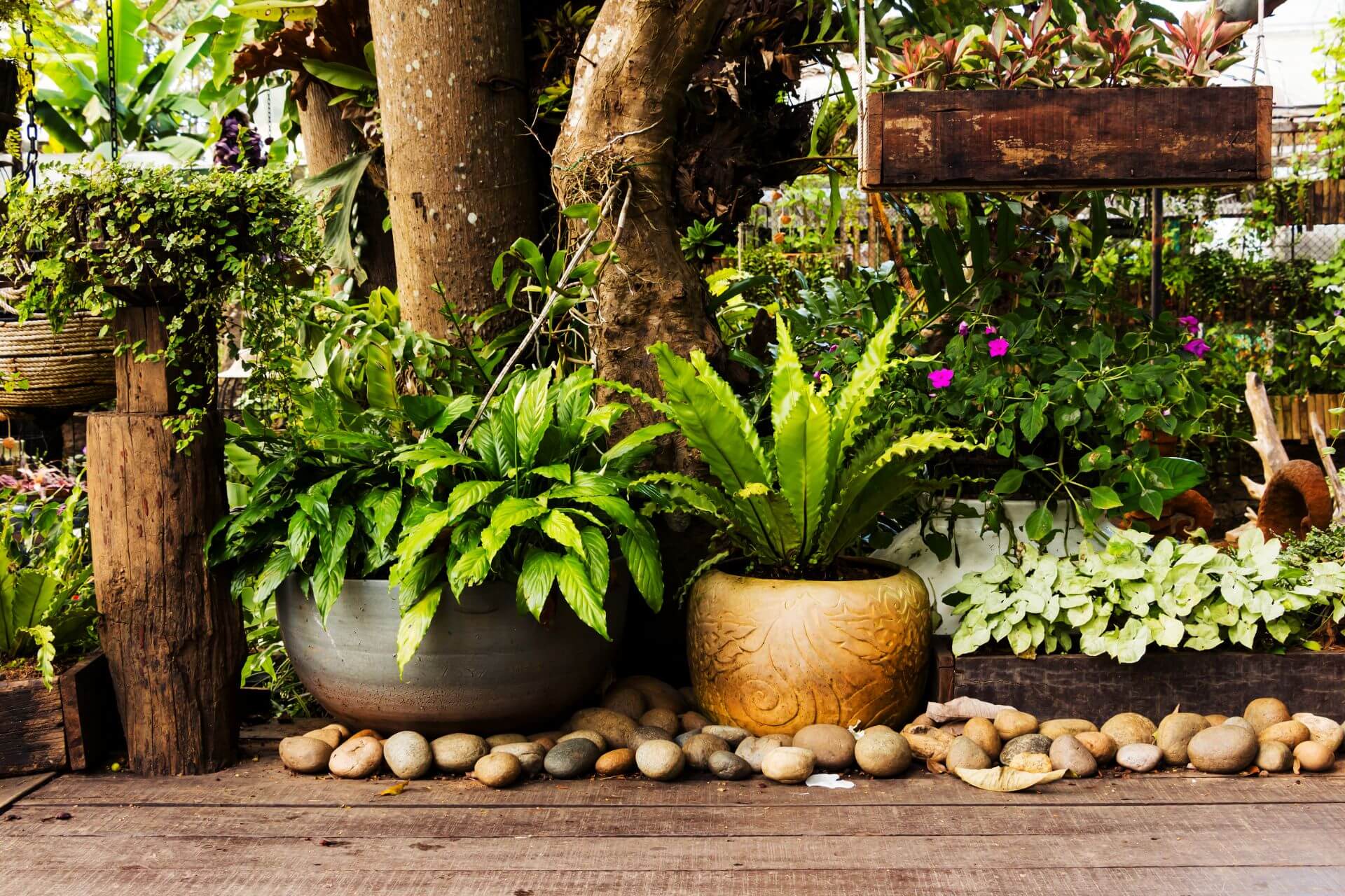 How to create an indoor rockery with Scottish pebbles