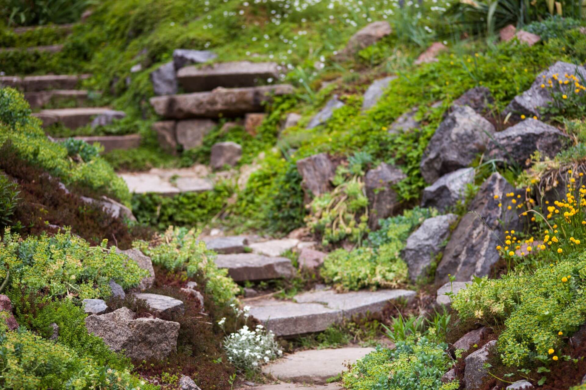 Modern rockery ideas for contemporary homeowners