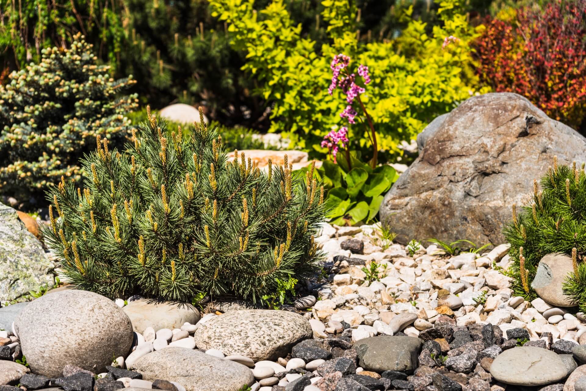 Using rockery stone to create a unique and stunning landscape